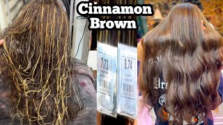 Cinnamon Brown Hair Color Morfose Colors  Full Explanation Salonfact [upl. by Hahsia]