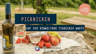 Wandern in Rheinhessen  Hiwweltour Stadecker Warte  Die perfekte PicknickTour [upl. by Eenalem289]