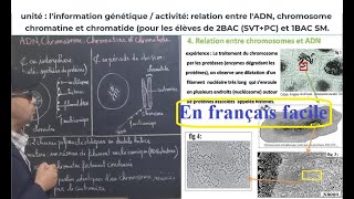 P3relation entre lADN chromosome chromatide et chromatine en français facile [upl. by Jacoby]