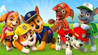 paw patrol episode2 whole patrol team together  CARTOON GAMER [upl. by Nywles]