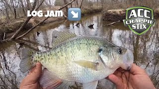 CRAPPIE Fishing From The Bank 🪵 You Won’t Believe The Size of These CRAPPIE 💥  Creek CRAPPIE‼️ [upl. by Kcirdot143]