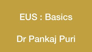 EUS  Basics gastroplus [upl. by Neelyk428]