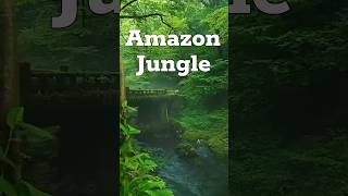 Amazon Rainforest Video  Amazon Forest amazonforest [upl. by Haughay]