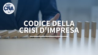 Codice della Crisi dImpresa [upl. by Arten415]