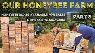 Honeybee boxes available for sales free beekeeping training contact8344393806🍯🐝 [upl. by Crean547]