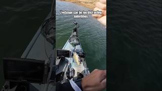 Scoping for hours can be very draining simonsaysher bassfishing spottedbass kayak [upl. by Sadie]