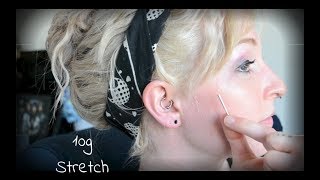 Ear Stretching Update  12g to 10g [upl. by Albertson843]