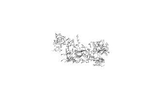 Asemic Drawing [upl. by Noek]