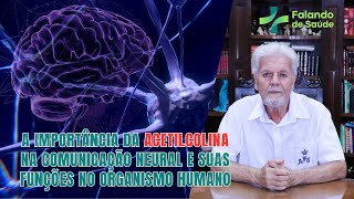 Acetilcolina A Função Fundamental do Neurotransmissor na Regulação das Funções Cognitivas [upl. by Olegnalehcim]