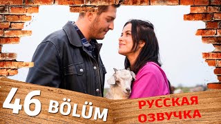 Жарптицы 46 серия на русском языке Обзор [upl. by Aikym]