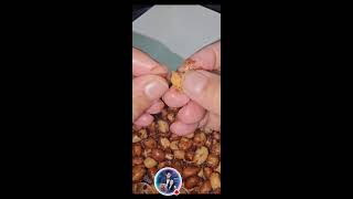 ASMR PEELING PEANUTS [upl. by Orpha]