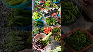 Fresh vegetables🥒🍅🫑🍆 trending shorts trendingshorts ytshortsindia yt youtubeshorts viral [upl. by Ynattir]