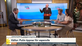 Uppgiftern om att Putin öppnar för vapenvila – experten ”Skeptisk”  Nyhetsmorgon  TV4 amp TV4 Play [upl. by Brennen175]