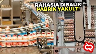 Ternyata Begini Tahap Produksi Yakult Sampai Siap Minum Proses Pabrik Makanan amp Minuman Fermentasi [upl. by Keily]