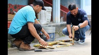 EXTRACCIÓN DE HORMONAS DE BAMBÚ Y CANAVALIA PARA ELABORAR BIOESTIMULANTES [upl. by Adriene]