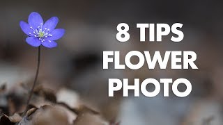 My 8 Best Tips for Flower Photography [upl. by Ailices]