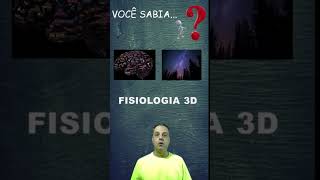 saude saudeebemestar fisiologia INSCREVA httpswwwyoutubecomFisiologia3D [upl. by Ocsecnarf54]