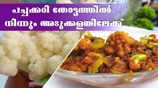 ഫ്രഷ് കോളിഫ്ലവർ കൊണ്ട് ഒരു അടിപൊളി കറി  Gopi Masala Curry Malayalam How to make Cauliflower Curry [upl. by Nancie]