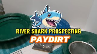 River Shark Prospecting Paydirt 1074 Grams [upl. by Doner31]