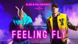 Bliss n Eso — Feeling Fly Official Music Video [upl. by Aver]