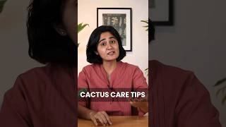 Cactus Care Tips How to save your dying succulents gardenup cactus shorts [upl. by Lavella]