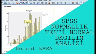 SPSS NORMALLİK TESTİ NORMAL DAĞILIM  Kolmogorov Smirnov ShapiroWilk Testleri SkewnessKurtosis [upl. by Eirok]