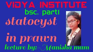 Statocyst in prawnpalaemon ByManisha mam [upl. by Devi19]