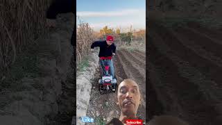 Gasoline weeder Small tiller DitchingPowerweeder Make very good drainage for sugarcane cultivation [upl. by Aihsrop]