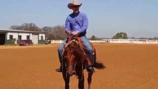 Reining Training  Misconception of a Low Head in Reining [upl. by Yenahc]