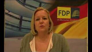 FDP Piltz zum Datenschutztag [upl. by Klute]