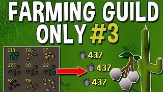 New Crop Unlocked After 2 Weeks of Straight Farming 100k Farming EXP Farming Guild Only 3 OSRS [upl. by Olzsal797]