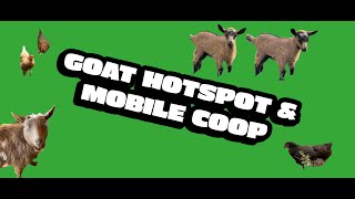 Goat hotspot amp mobile coop [upl. by Neema]