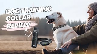 Delupet Dog Training Collar Ultimate Guide for Dog Owners  Review [upl. by Kcirdde]