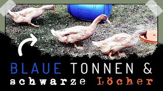 20220724 – Die blaue Tonne mit dem roten Deckel [upl. by Chance]