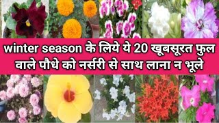 winter के लिये 20खूबसूरत फुल वाले पौधे को नर्सरी से लाकर गमले मे लगयेwinter flower plant grow in pot [upl. by Yeleek]