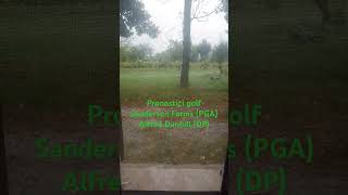 Previsioni Golf Sanderson Farms PGA e Alfredo Dunhill Links CHAMPIONSHIP DP [upl. by Zerla976]