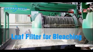 Horizontal Pressure Leaf Filter for Bleaching process [upl. by Anomor666]