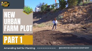 Amending Soil  How to Amend amp Care for Neglected Soil [upl. by Yentuoc]