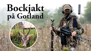 Jaktresan Bockjakt på Gotland [upl. by Bruyn]