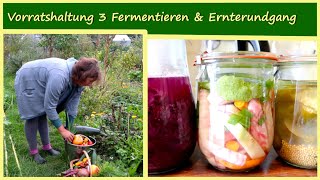 Vorratshaltung Teil 3 Fermentieren amp Ernterundgang September [upl. by Htiduy368]