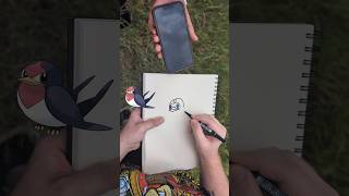 Drawing the Pokémon Taillow in 30 seconds [upl. by Arvind]