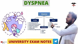 Dyspnea  Respiratory system physiology [upl. by Ecilahc]