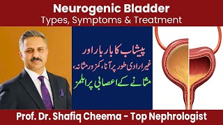 Neurogenic Bladder Types Symptoms amp Treatment [upl. by Euqinom129]