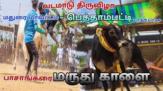 பாசாங்கரை மருது காளை பெத்தாம்பட்டி களத்தில் mathurai vatam pethampatti vatam pasankarai [upl. by Karrie571]