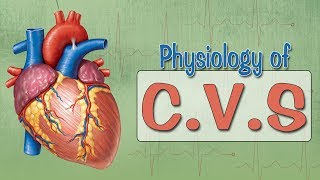 Easy Physiology  CVS  ECG 1Introduction amp ECG Leads [upl. by Benyamin]