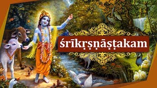 SAMA  02  Sri Krishnashtakam  Sri Krishna Janmashtami Special [upl. by Yartnoed56]