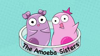 Amoeba Sisters Music [upl. by Reiss]