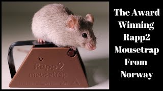 The Award Winning Rapp2 Mousetrap From Norway Mousetrap Monday [upl. by Nimar]