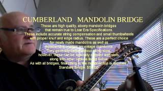 all faults on my LOAR 700 VS MANDOLIN mp4 [upl. by Donnenfeld]