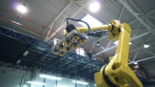 Elinta Fanuc Robot [upl. by Ainnet412]